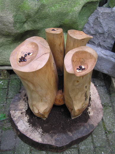EARTHLING - 2005 - trunk, earth and seeds - height 75 cm, platform-disk 60 cm